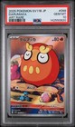 Darumaka