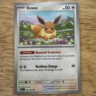 Poncho-Wearing Eevee 