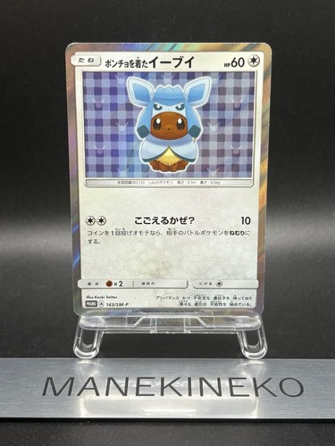 Poncho-Wearing Eevee 