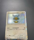 Poncho-Wearing Eevee 