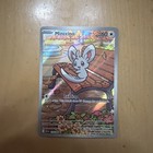 Minccino
