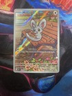 Minccino