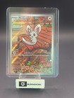 Minccino