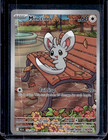 Minccino