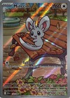 Minccino