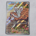 Minccino