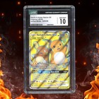Raichu & Alolan Raichu GX