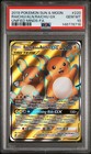 Raichu & Alolan Raichu GX