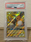 Raichu & Alolan Raichu GX