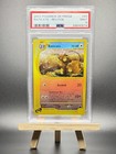 Raticate