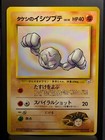 Brock's Geodude