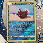 Pyukumuku