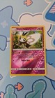 Ribombee