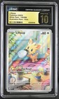 Lillipup
