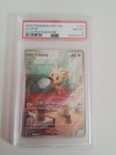 Lillipup