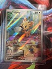 Lillipup