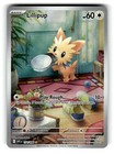 Lillipup