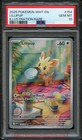 Lillipup