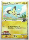 Spiky-Eared Pichu