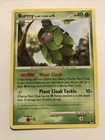 Burmy Plant Cloak