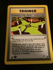 Celadon City Gym