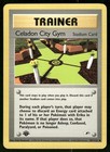 Celadon City Gym