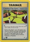 Celadon City Gym