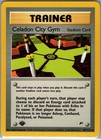Celadon City Gym