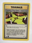 Celadon City Gym
