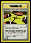 Celadon City Gym