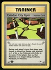 Celadon City Gym