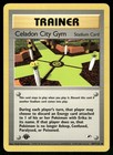 Celadon City Gym