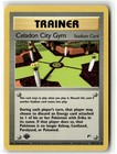 Celadon City Gym