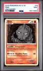 Onix