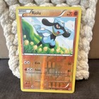 Riolu