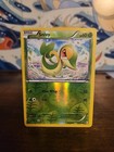 Snivy