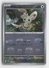 Minccino