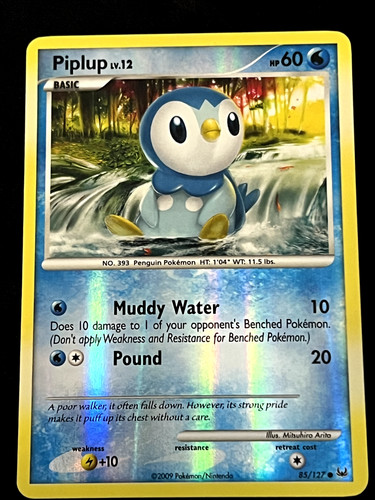 Piplup