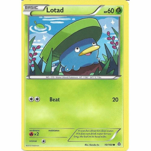 Lotad