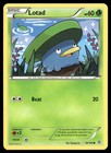 Lotad