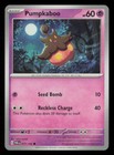 Pumpkaboo