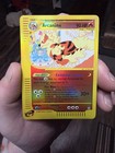 Arcanine