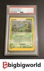 Sceptile