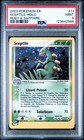 Sceptile