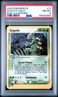 Sceptile