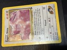 Koga's Ditto
