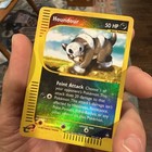 Houndour