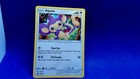 Aipom