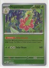 Meganium