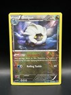 Shelgon